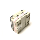 Mitsubishi FX1S-20MT-DSS